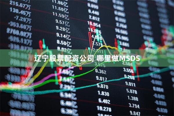 辽宁股票配资公司 哪里做MSDS