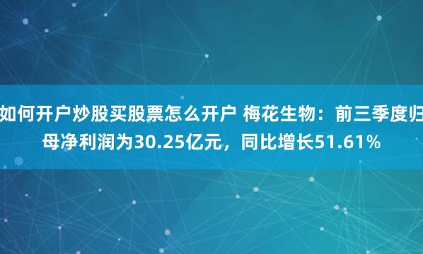 如何开户炒股买股票怎么开户 梅花生物：前三季度归母净利润为30.25亿元，同比增长51.61%