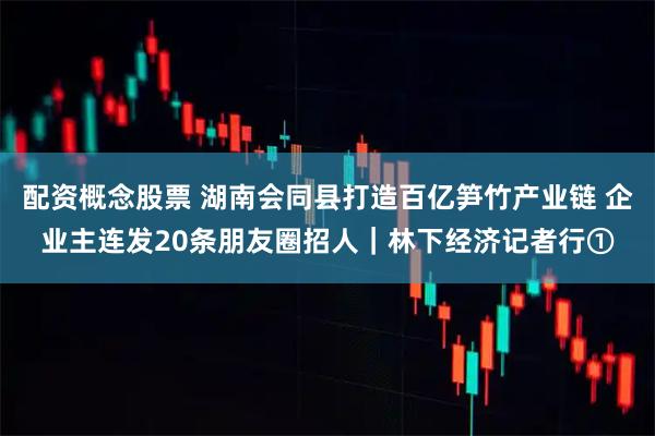 配资概念股票 湖南会同县打造百亿笋竹产业链 企业主连发20条朋友圈招人｜林下经济记者行①