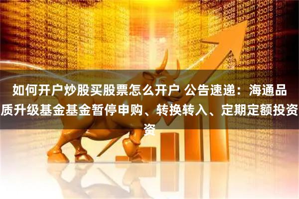 如何开户炒股买股票怎么开户 公告速递：海通品质升级基金基金暂停申购、转换转入、定期定额投资