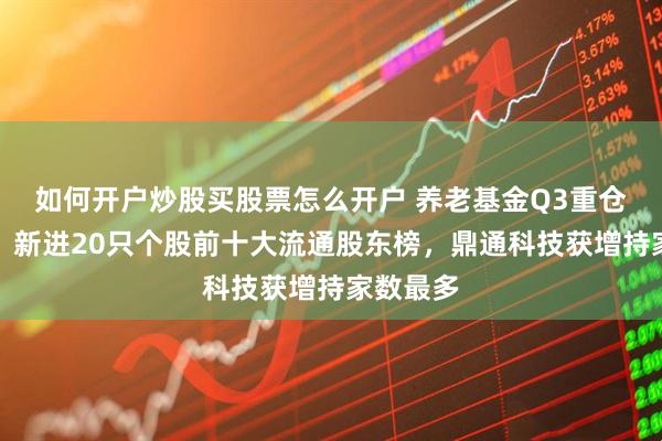 如何开户炒股买股票怎么开户 养老基金Q3重仓股曝光！新进20只个股前十大流通股东榜，鼎通科技获增持家数最多